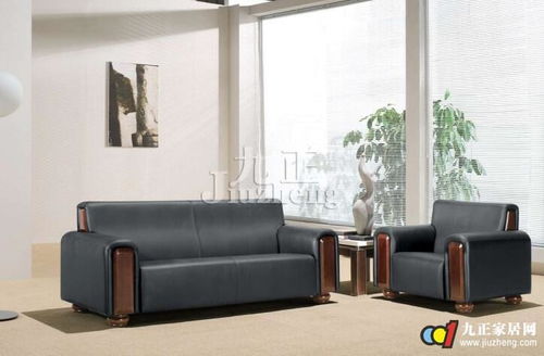 皮質(zhì)家具保養(yǎng)全攻略 日常保潔與注意事項