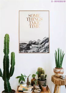 不能不知的家居綠植選擇 養(yǎng)護(hù)技巧,居家必備